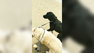 [3633 of 3935 Vids] Bree Louise (bree_louisexoxo aka breebbydance) OnlyFans Leaks Nude