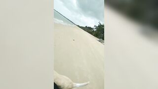 [3633 of 3935 Vids] Bree Louise (bree_louisexoxo aka breebbydance) OnlyFans Leaks Nude