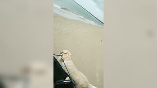 [3633 of 3935 Vids] Bree Louise (bree_louisexoxo aka breebbydance) OnlyFans Leaks Nude