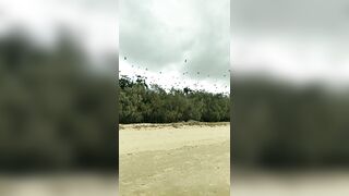 [3633 of 3935 Vids] Bree Louise (bree_louisexoxo aka breebbydance) OnlyFans Leaks Nude