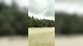 [3633 of 3935 Vids] Bree Louise (bree_louisexoxo aka breebbydance) OnlyFans Leaks Nude