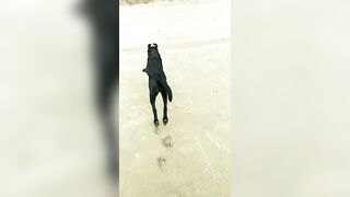 [3633 of 3935 Vids] Bree Louise (bree_louisexoxo aka breebbydance) OnlyFans Leaks Nude