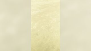 [3633 of 3935 Vids] Bree Louise (bree_louisexoxo aka breebbydance) OnlyFans Leaks Nude