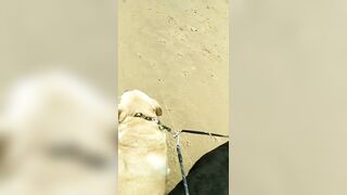 [3633 of 3935 Vids] Bree Louise (bree_louisexoxo aka breebbydance) OnlyFans Leaks Nude