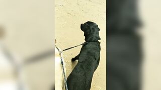 [3633 of 3935 Vids] Bree Louise (bree_louisexoxo aka breebbydance) OnlyFans Leaks Nude