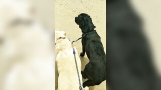 [3633 of 3935 Vids] Bree Louise (bree_louisexoxo aka breebbydance) OnlyFans Leaks Nude