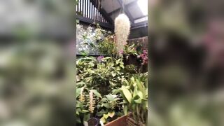 [3720 of 3935 Vids] Bree Louise (bree_louisexoxo aka breebbydance) OnlyFans Leaks Nude