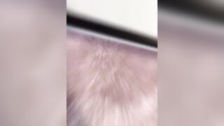 [3756 of 3935 Vids] Bree Louise (bree_louisexoxo aka breebbydance) OnlyFans Leaks Nude