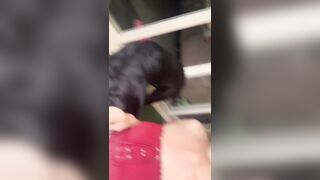 [3825 of 3935 Vids] Bree Louise (bree_louisexoxo aka breebbydance) OnlyFans Leaks Nude