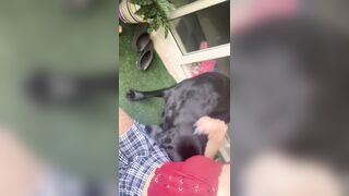 [3825 of 3935 Vids] Bree Louise (bree_louisexoxo aka breebbydance) OnlyFans Leaks Nude