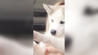 [386 of 3935 Vids] Bree Louise (bree_louisexoxo aka breebbydance) OnlyFans Leaks Nude