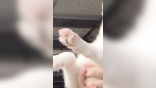 [386 of 3935 Vids] Bree Louise (bree_louisexoxo aka breebbydance) OnlyFans Leaks Nude