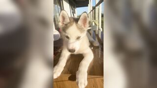 [3870 of 3935 Vids] Bree Louise (bree_louisexoxo aka breebbydance) OnlyFans Leaks Nude