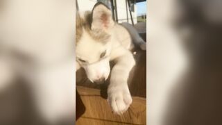 [3870 of 3935 Vids] Bree Louise (bree_louisexoxo aka breebbydance) OnlyFans Leaks Nude