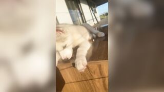 [3870 of 3935 Vids] Bree Louise (bree_louisexoxo aka breebbydance) OnlyFans Leaks Nude