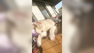 [3870 of 3935 Vids] Bree Louise (bree_louisexoxo aka breebbydance) OnlyFans Leaks Nude