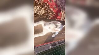 [3870 of 3935 Vids] Bree Louise (bree_louisexoxo aka breebbydance) OnlyFans Leaks Nude