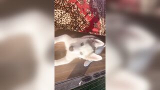 [3870 of 3935 Vids] Bree Louise (bree_louisexoxo aka breebbydance) OnlyFans Leaks Nude