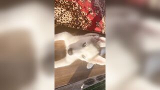 [3870 of 3935 Vids] Bree Louise (bree_louisexoxo aka breebbydance) OnlyFans Leaks Nude