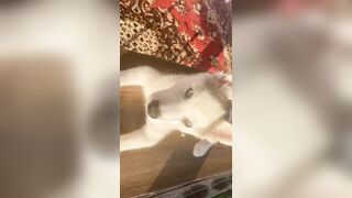 [3870 of 3935 Vids] Bree Louise (bree_louisexoxo aka breebbydance) OnlyFans Leaks Nude