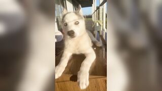 [3870 of 3935 Vids] Bree Louise (bree_louisexoxo aka breebbydance) OnlyFans Leaks Nude