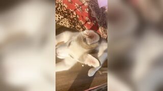 [3870 of 3935 Vids] Bree Louise (bree_louisexoxo aka breebbydance) OnlyFans Leaks Nude