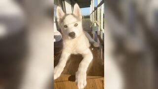 [3870 of 3935 Vids] Bree Louise (bree_louisexoxo aka breebbydance) OnlyFans Leaks Nude