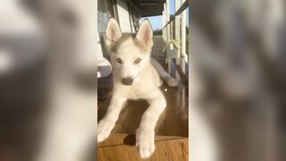 [3870 of 3935 Vids] Bree Louise (bree_louisexoxo aka breebbydance) OnlyFans Leaks Nude