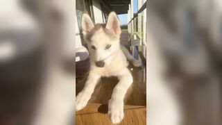 [3870 of 3935 Vids] Bree Louise (bree_louisexoxo aka breebbydance) OnlyFans Leaks Nude