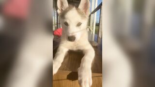 [3870 of 3935 Vids] Bree Louise (bree_louisexoxo aka breebbydance) OnlyFans Leaks Nude