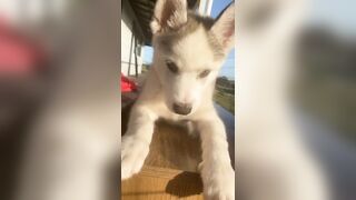 [3870 of 3935 Vids] Bree Louise (bree_louisexoxo aka breebbydance) OnlyFans Leaks Nude