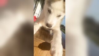 [3870 of 3935 Vids] Bree Louise (bree_louisexoxo aka breebbydance) OnlyFans Leaks Nude