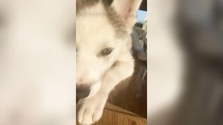 [3870 of 3935 Vids] Bree Louise (bree_louisexoxo aka breebbydance) OnlyFans Leaks Nude