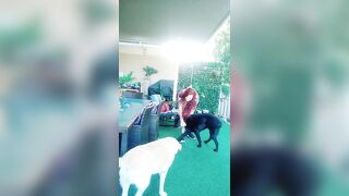 [3918 of 3935 Vids] Bree Louise (bree_louisexoxo aka breebbydance) OnlyFans Leaks Nude