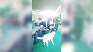 [3918 of 3935 Vids] Bree Louise (bree_louisexoxo aka breebbydance) OnlyFans Leaks Nude