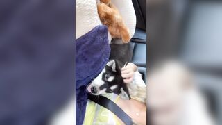 [406 of 3935 Vids] Bree Louise (bree_louisexoxo aka breebbydance) OnlyFans Leaks Nude