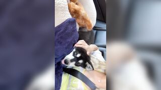 [406 of 3935 Vids] Bree Louise (bree_louisexoxo aka breebbydance) OnlyFans Leaks Nude