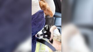 [406 of 3935 Vids] Bree Louise (bree_louisexoxo aka breebbydance) OnlyFans Leaks Nude