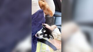 [406 of 3935 Vids] Bree Louise (bree_louisexoxo aka breebbydance) OnlyFans Leaks Nude