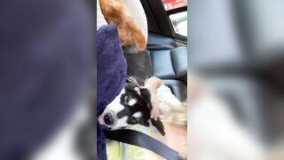 [406 of 3935 Vids] Bree Louise (bree_louisexoxo aka breebbydance) OnlyFans Leaks Nude