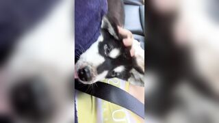 [406 of 3935 Vids] Bree Louise (bree_louisexoxo aka breebbydance) OnlyFans Leaks Nude