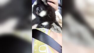 [406 of 3935 Vids] Bree Louise (bree_louisexoxo aka breebbydance) OnlyFans Leaks Nude