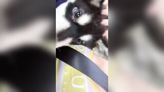 [406 of 3935 Vids] Bree Louise (bree_louisexoxo aka breebbydance) OnlyFans Leaks Nude