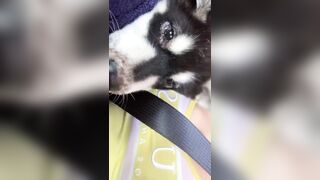 [406 of 3935 Vids] Bree Louise (bree_louisexoxo aka breebbydance) OnlyFans Leaks Nude