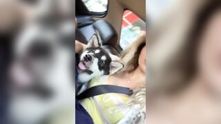 [406 of 3935 Vids] Bree Louise (bree_louisexoxo aka breebbydance) OnlyFans Leaks Nude