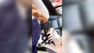 [406 of 3935 Vids] Bree Louise (bree_louisexoxo aka breebbydance) OnlyFans Leaks Nude