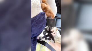 [406 of 3935 Vids] Bree Louise (bree_louisexoxo aka breebbydance) OnlyFans Leaks Nude