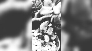 [47 of 3935 Vids] Bree Louise (bree_louisexoxo aka breebbydance) OnlyFans Leaks Nude