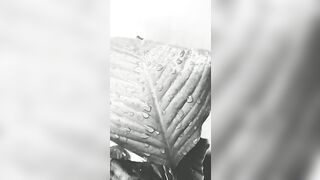 [47 of 3935 Vids] Bree Louise (bree_louisexoxo aka breebbydance) OnlyFans Leaks Nude