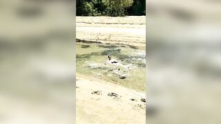 [494 of 3935 Vids] Bree Louise (bree_louisexoxo aka breebbydance) OnlyFans Leaks Nude